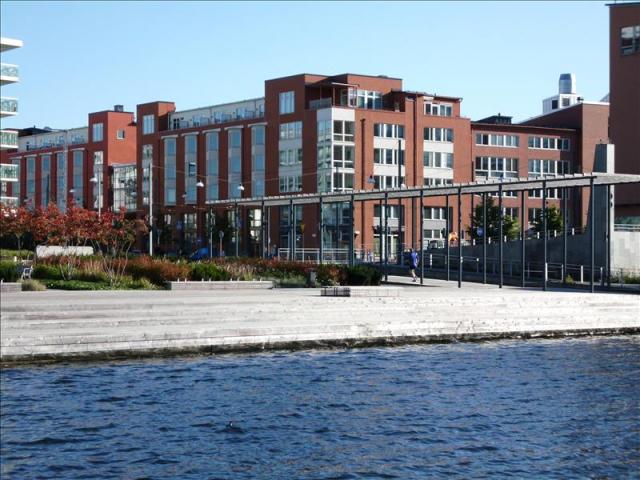 Building is near Water, Park, Sunbathing